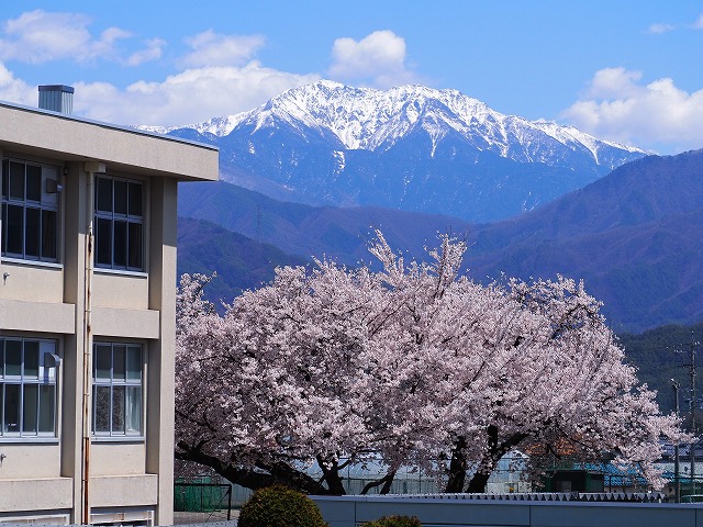 4月19日赤穂高校の桜と駒ケ岳